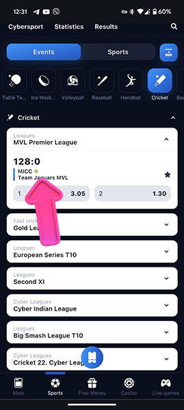 Сhoose a cricket match